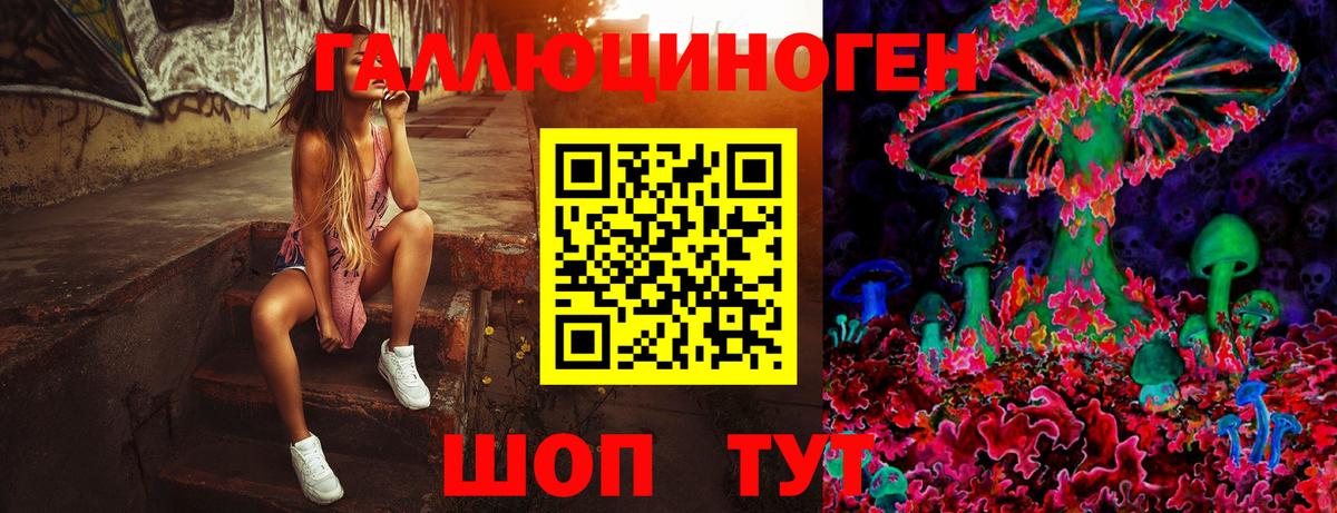 Псилоцибиновые грибы Psilocybe  Псилоцибиновые грибы мухоморы  как найти наркотики  Вход с VPN  Нефтекумск 